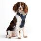 Preview: DOOG Neotech Harness Navy Gr. S Preview: DOOG Neotech Harness Navy Gr. S